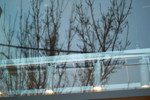 Tree branch reflection over office window in the afternoon Stockfoto's