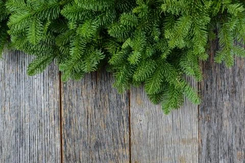 Tree branch on rustic wooden background used for christmas decoration Stock Photos