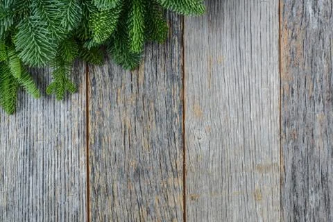 Tree branch on rustic wooden background used for christmas decoration Stock Photos