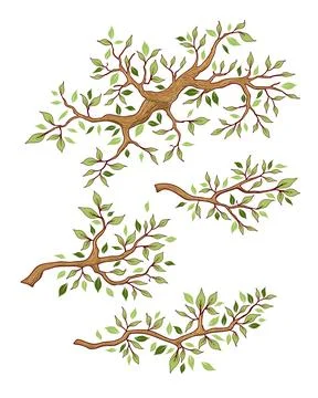 Tree branch set, seasons summer Stock Illustration