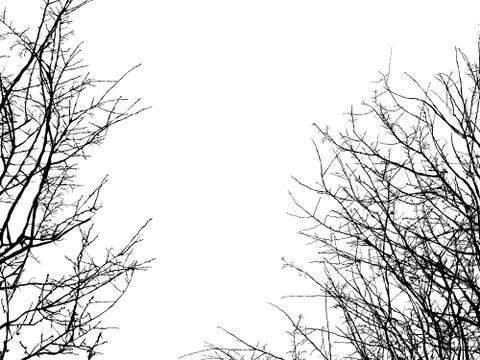 Tree branch silhouette 3 Stock Illustration