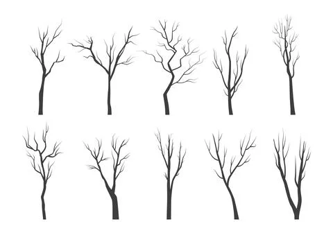 Tree branch silhouette set. Bare twisting stems of plants with various tracery Stock-Illustration