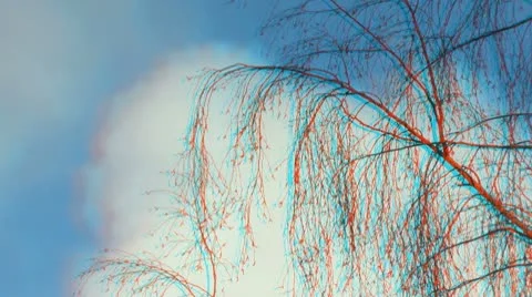 Tree branch on sky background 1 Stock Footage 10772522