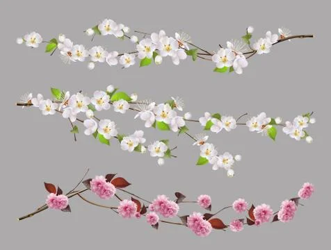 Tree branch, spring flowers 3d vector set Illustrazione stock