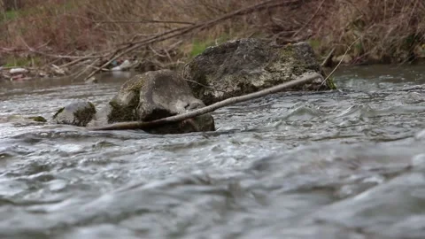 A tree branch stuck between the stones in the river Stock Footage 153765958