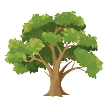 Tree branch symbolize growth Stock Illustration