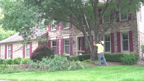 Tree Branch Trimming S-Log in Slow-Mo Stock Footage 172218768