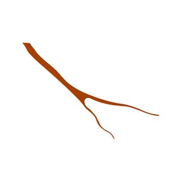 Tree branch, twig hand drawn illustration. Stock Illustration