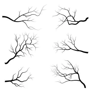 Tree branch vector illustration isolated on white background. Flat design Stock Illustration