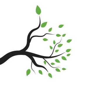 Tree branch vector ilustration design Stock Illustration