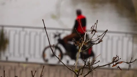 Tree branch without leaves late autumn. On the back background cyclist on the Video stock 169873887