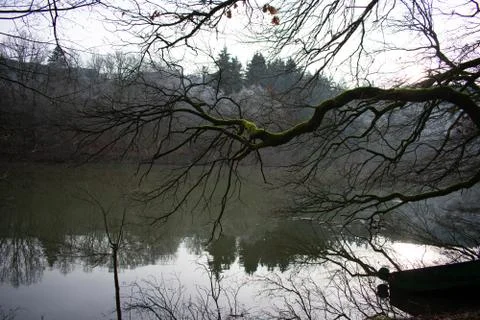 Tree brancheover river in winter Stock Photos
