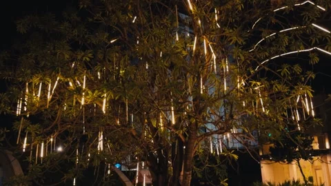 Tree branches adorned with many bright, warm white led meteor shower lights, Stock Footage 341862720