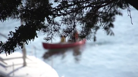 Tree Branches against the Backdrop of the Boat Floating on the Water Stock Footage 74598141