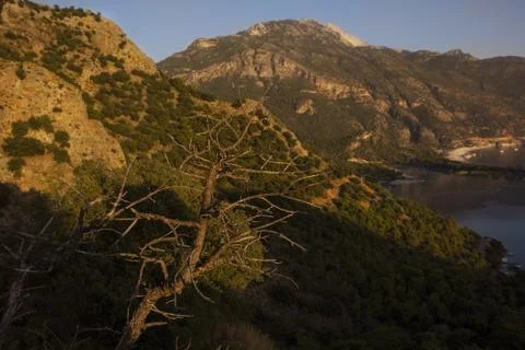 Tree branches against the backdrop of mountains and the sea at sunset, , autumn Foto stock