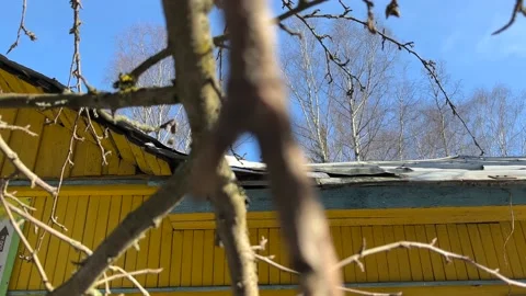 Tree branches against the background of a yellow building and water drops Vídeos de archivo 188261745