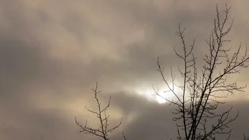 Tree branches against the gray sky. It's snowing. Video stock 85597489