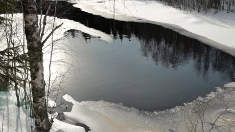 Tree branches against little winter river creek close view Video stock 109203773