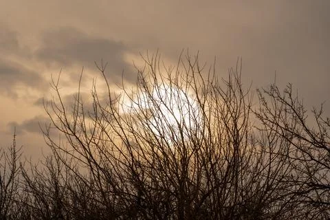 Tree branches against the sky, branches, sky, tree Stock Photos