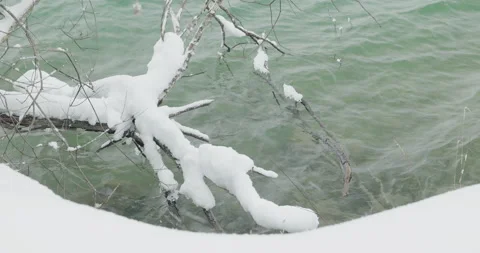 Tree branches in Alpine lake covered by snow Stock Footage 231063168