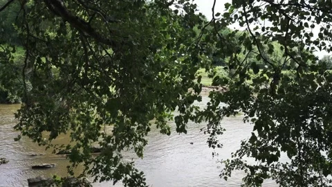 Tree branches and blowing leaves hanging down over flowing water Stock Footage 135062803