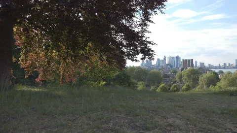 Tree branches and central London in the background. Stock Footage 108751143