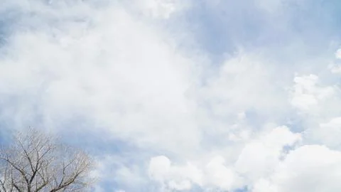 Tree branches and clear sky with some cloud Foto stock