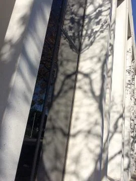 Tree branches and shadows on white buidling Stock Photos