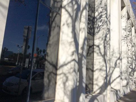 Tree branches and shadows on white buidling Stock Photos