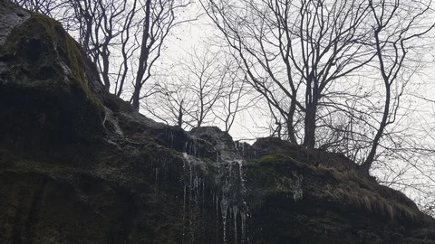Tree branches and waterfall jets Stock Footage 85727152