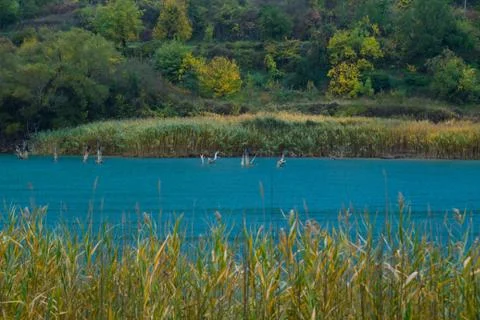 Tree branches appearing from the surface of lake Tsivlos Stock Photos