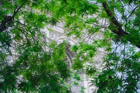 Tree Branches with the Arc De Triomphe in the Background Stock Photos