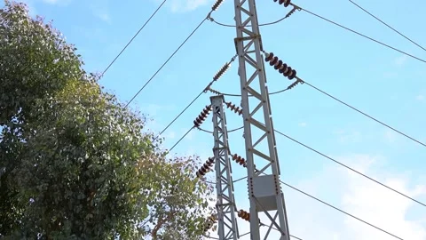 Tree branches around high voltage electrical substation Stock Footage 162758482