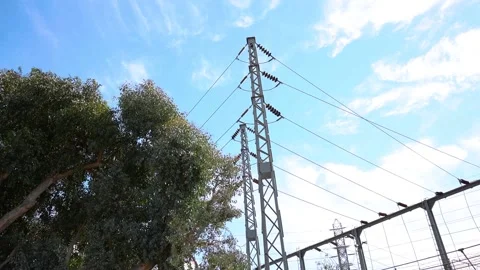 Tree branches around high voltage electrical substation 2 Stock Footage 162758492