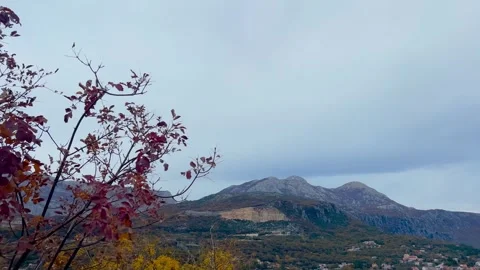 Tree branches with autumn leaves swaying in the wind against mountains Stock Footage 346539993