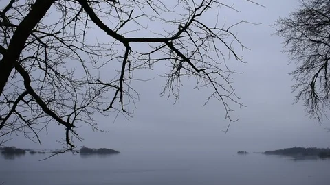 Tree branches on the background of  high water Stock Footage 121788661