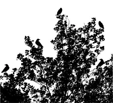 Tree Branches Background Stock Illustration