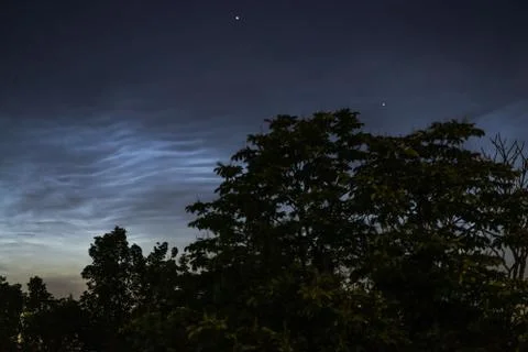 Tree branches on a background of silver clouds close up on a summer night. Stock Photos