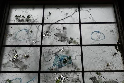 Tree branches behind smashed window 스톡 사진