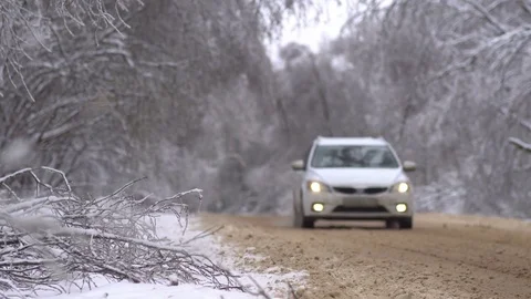 Tree branches bent under the weight of snow and ice over the road Stock Footage 71652465