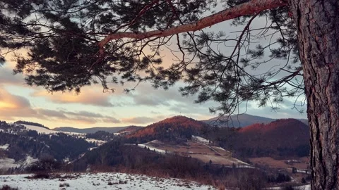 Tree branches bent in the wind, Winter landscape, Clouds in motion at the Stock-Footage 169597450