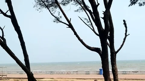 Tree branches , Blue sky and Long distance ocean  landscape footage Stock Footage 108209606
