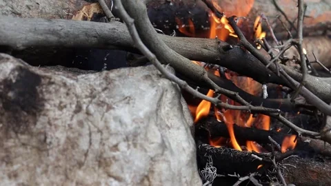 Tree Branches Burning on Campfire (Close-up) Stock Footage 292562758
