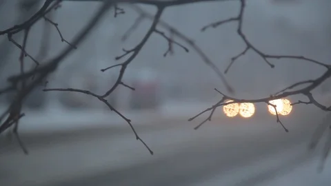Tree branches. buses. snow-covered streets in the city. defocus. refocus. car Stock Footage 126596326