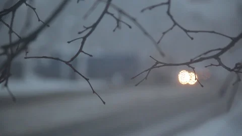 Tree branches. buses. snow-covered streets in the city. defocus. refocus. car Video stock 126596353