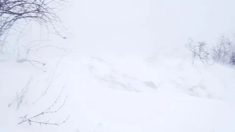 Tree branches close up in a snowstorm Stock Footage 120305629