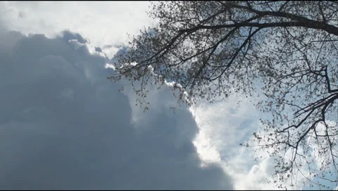 Tree branches, clouds Stockbeeldmateriaal 37924083