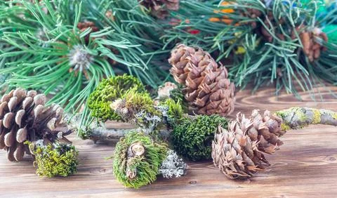 Tree branches covered in green moss and pine cones on a wooden table with pin Foto stock