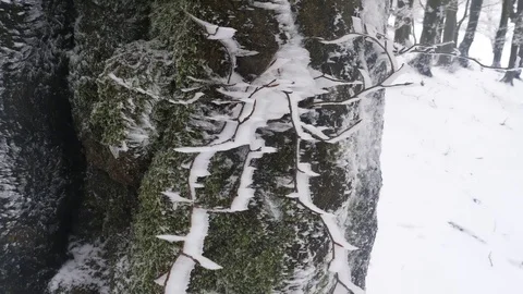 Tree branches covered with hoar frost Video stock 84138029