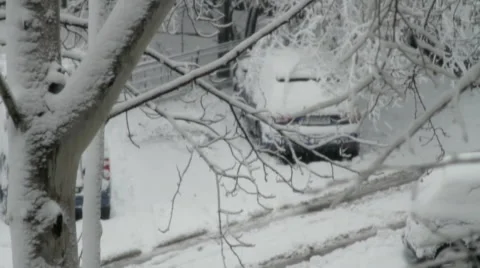 Tree Branches Covered In Snow, Winter Background, Blizzard, Tilt Up Stock Footage 45534953